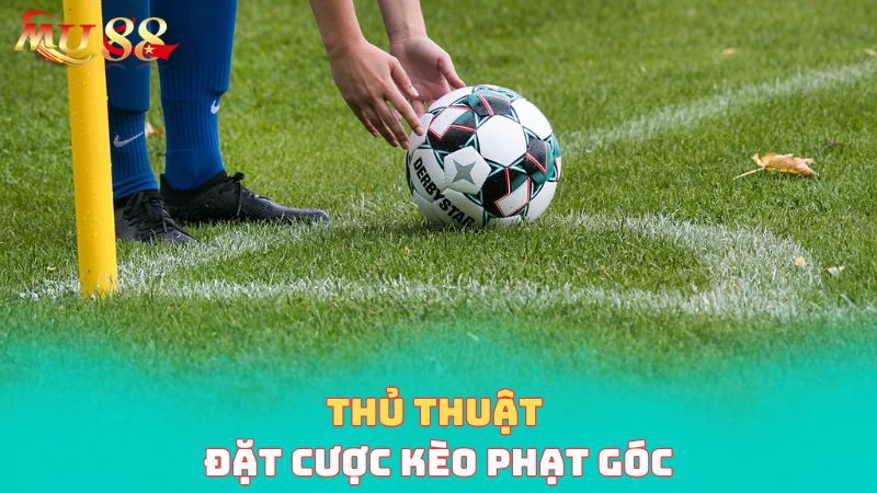 Thủ thuật đặt cược phạt góc