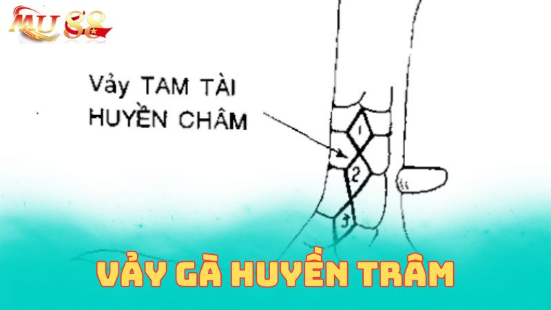 Giải thích về vảy gà huyền trâm