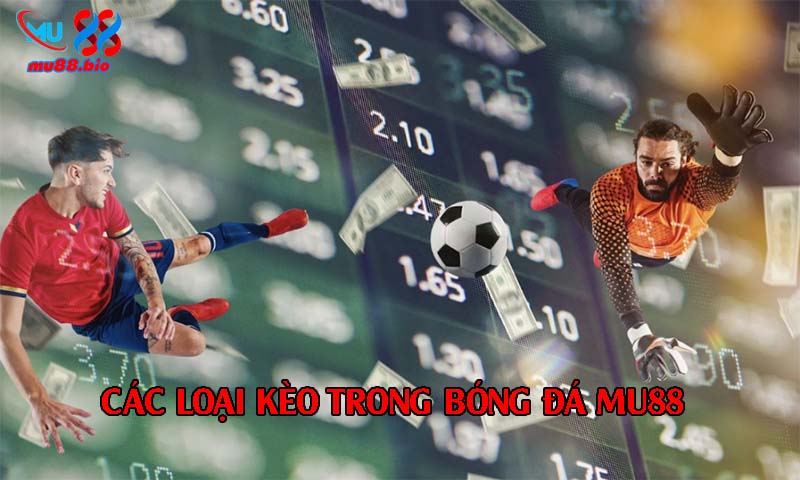 Khám phá các loại kèo trong bóng đá tại MU88