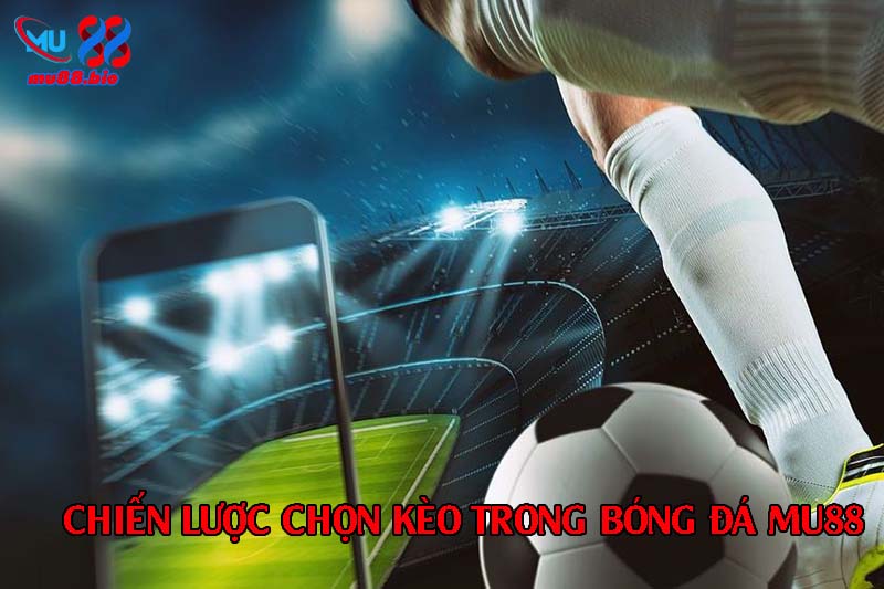 Chiến lược chọn kèo hiệu quả